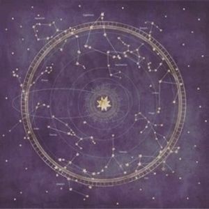 Meet your Posher, Audrey